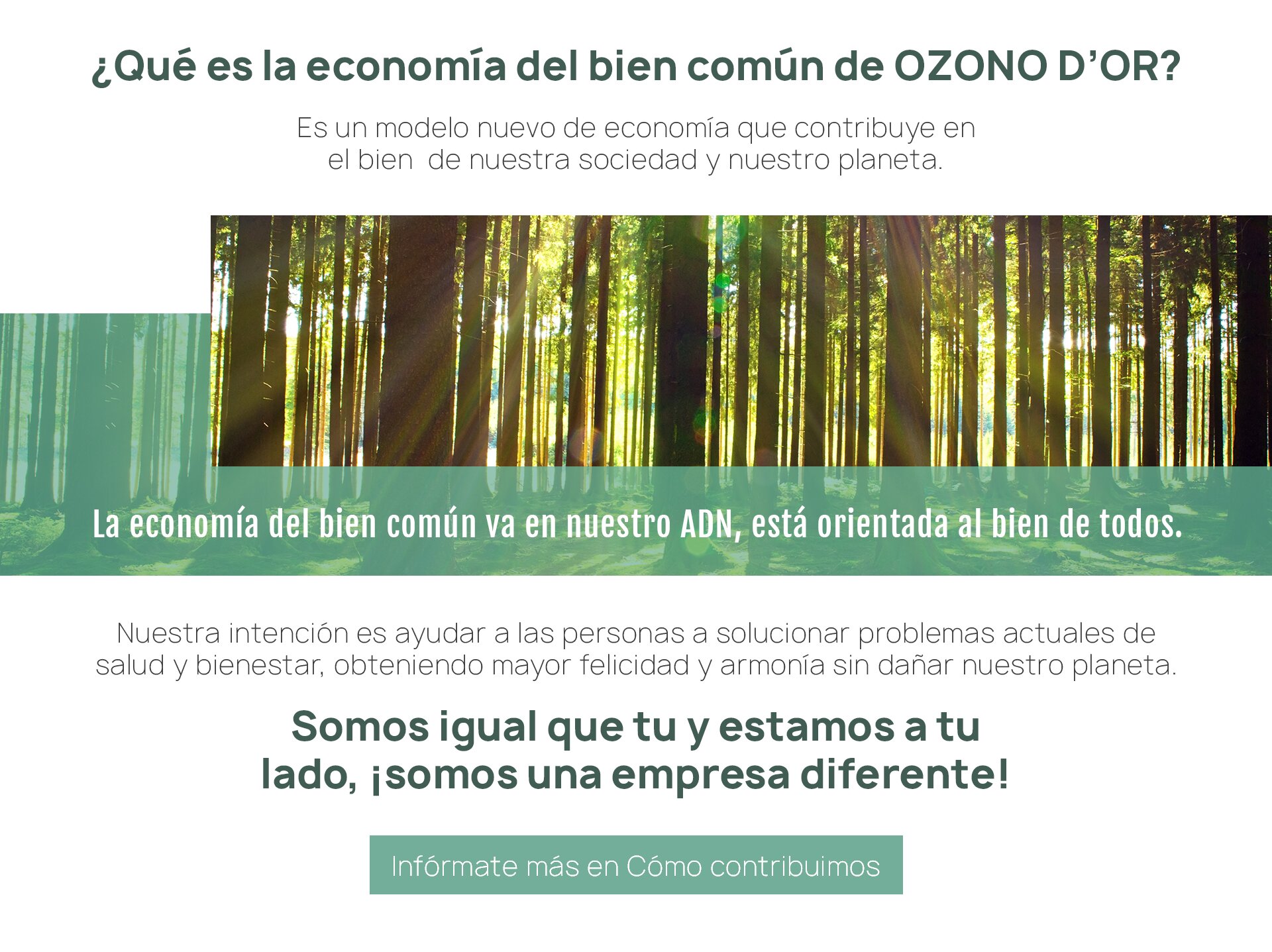 economía del bien común OZONO D'OR 